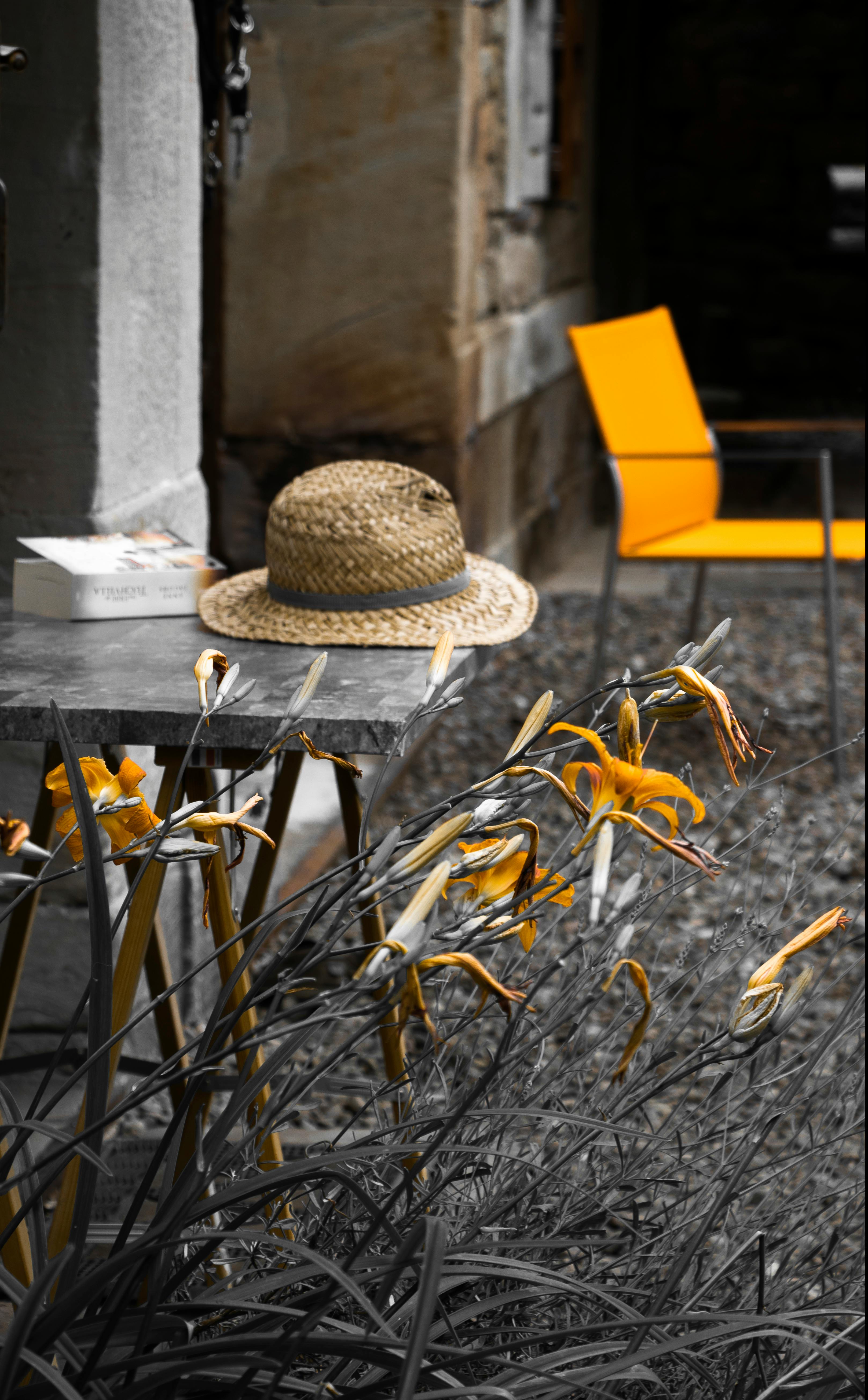 Женщина с книгой у окна