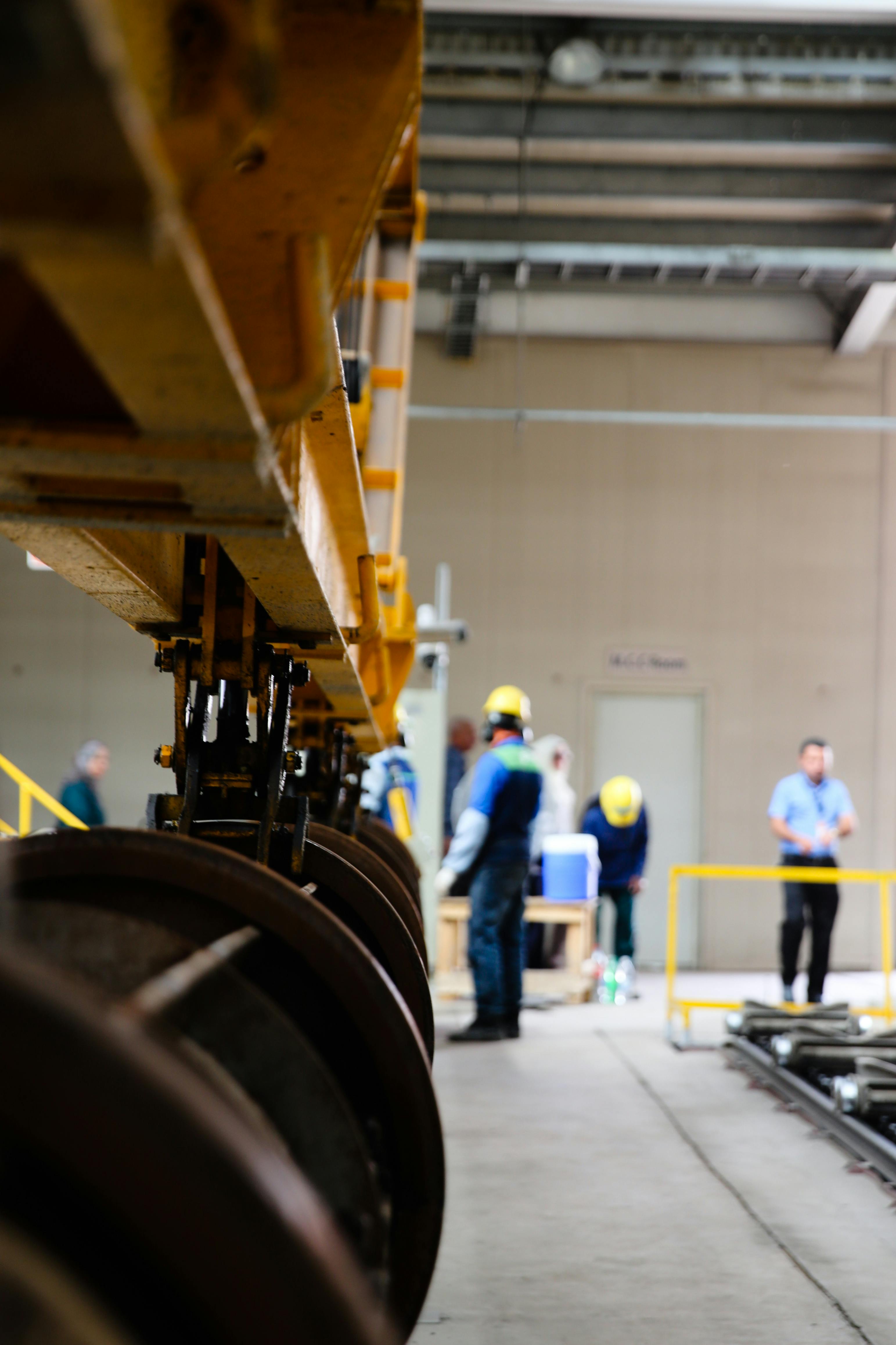 Разнообразные орехи и семена на деревянной поверхности